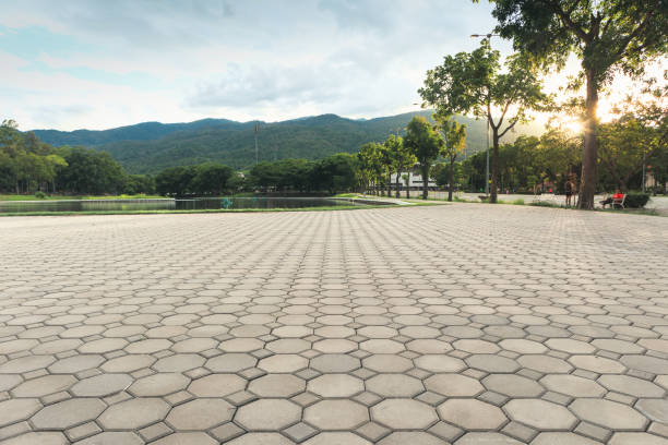 Best Affordable Driveway Pavers  in Takoma Park, MD